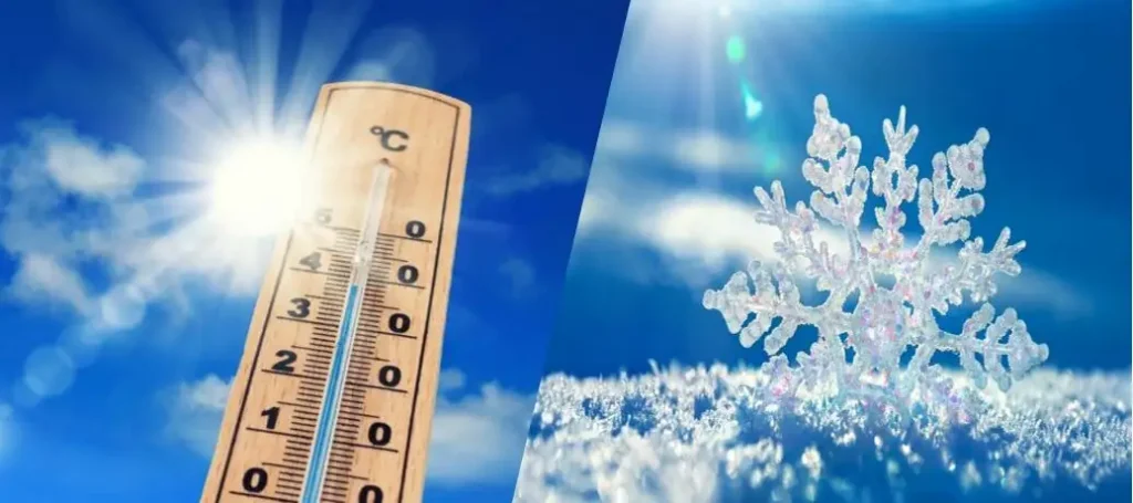 canicule